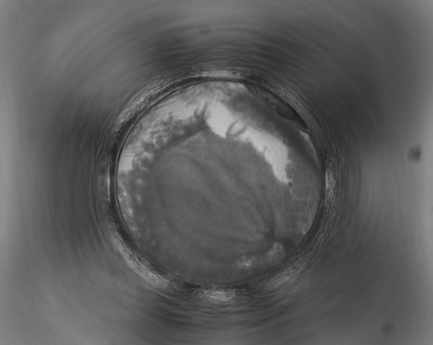 X0000115660349200912031337