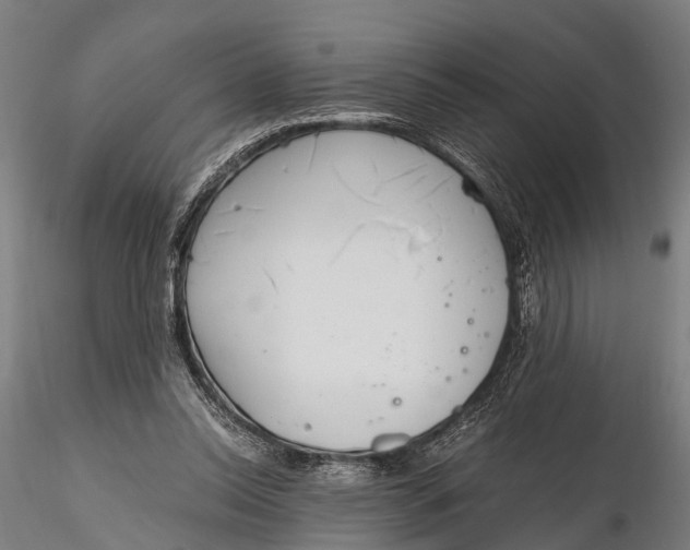 X0000115660350200912031338