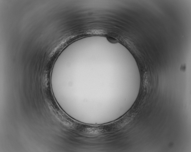 X0000115660351200912031338