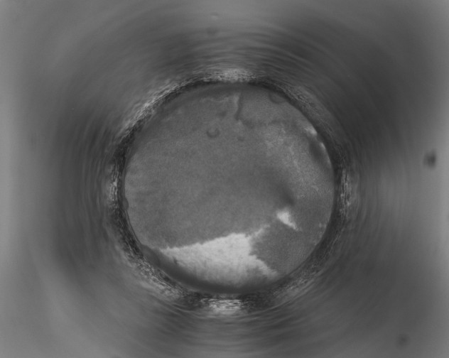 X0000115660355200912031338