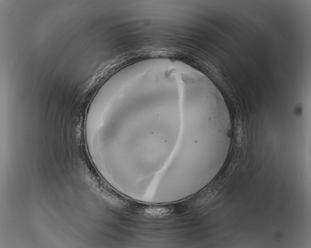 X0000115660357200912031338