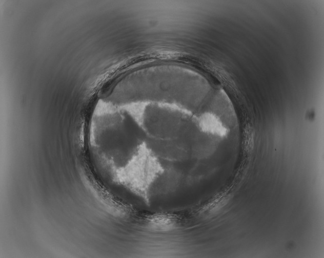 X0000115660358200912031338