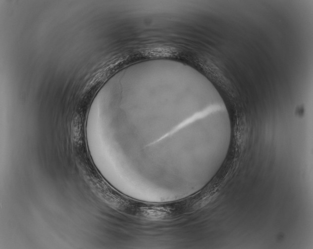 X0000115660359200912031338