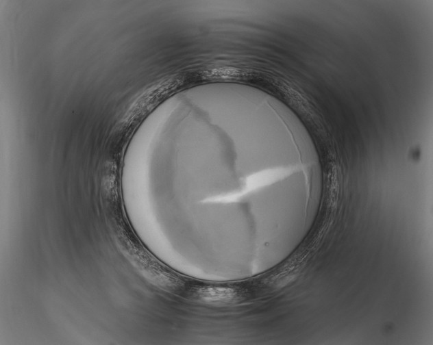 X0000115660361200912031338