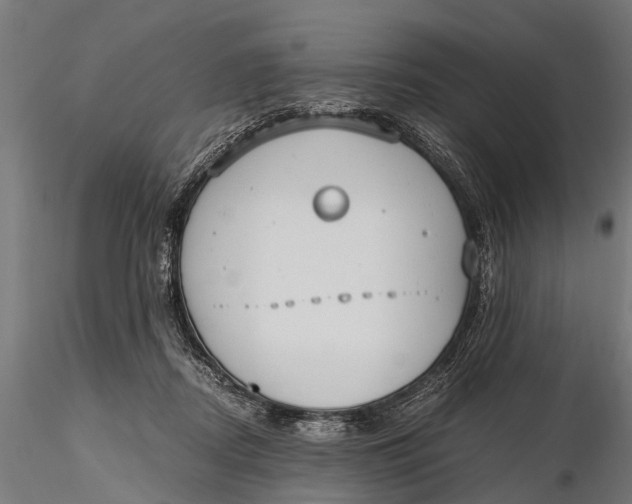 X0000115660362200912031338