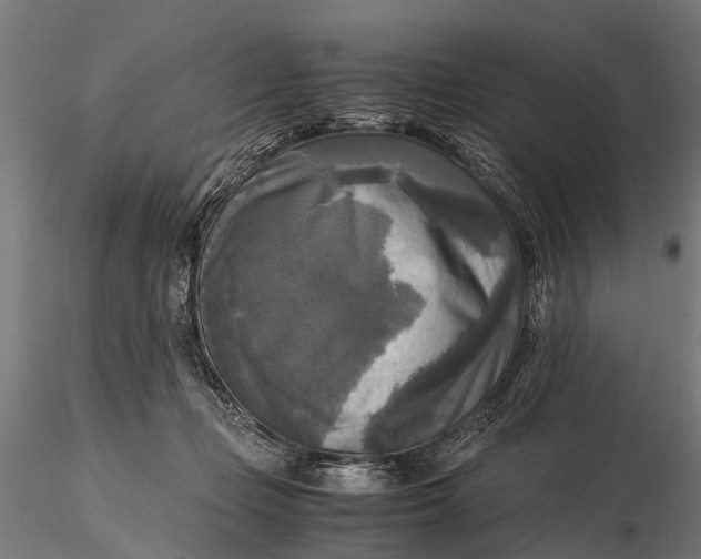 X0000115660365200912031338