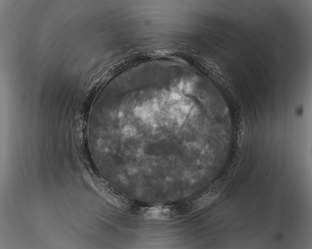 X0000115660366200912031338