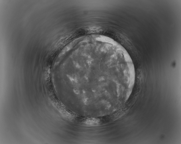 X0000115660369200912031338