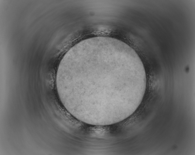 X0000115660370200912031338