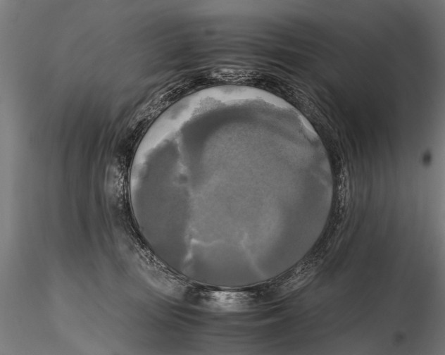 X0000115660371200912031338