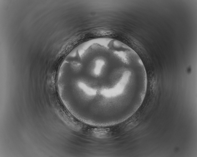 X0000115660373200912031338