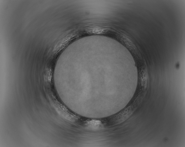 X0000115660374200912031338