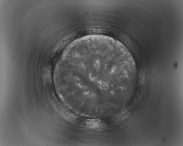 X0000115660377200912031338