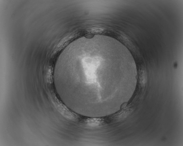 X0000115660378200912031338