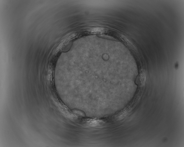 X0000115660379200912031338