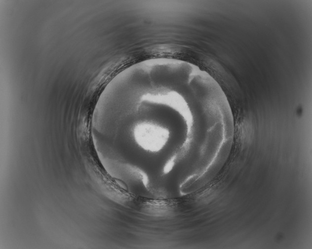 X0000115660381200912031338