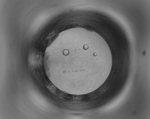 X0000115660382200912031338