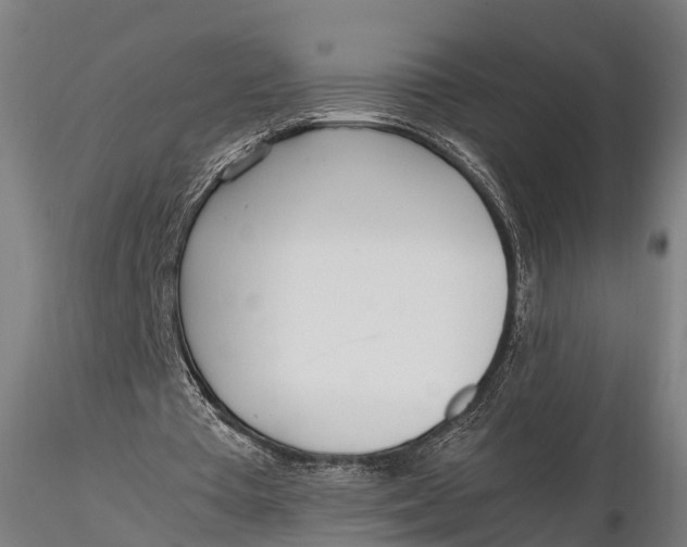 X0000115660385200912031337