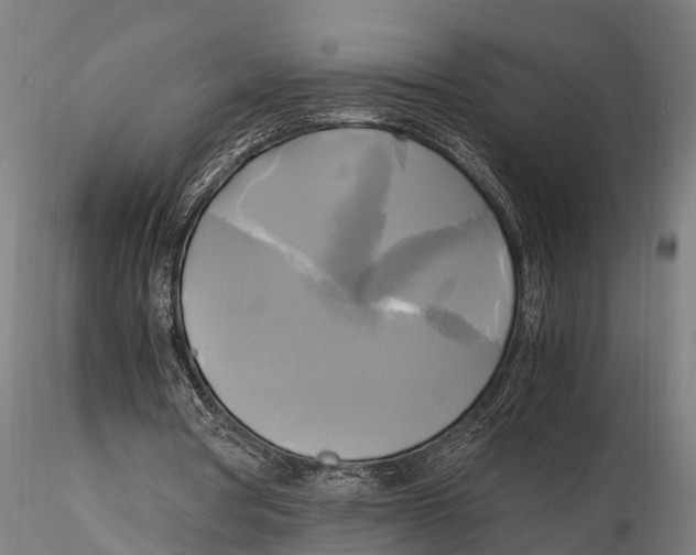 X0000115660386200912031337