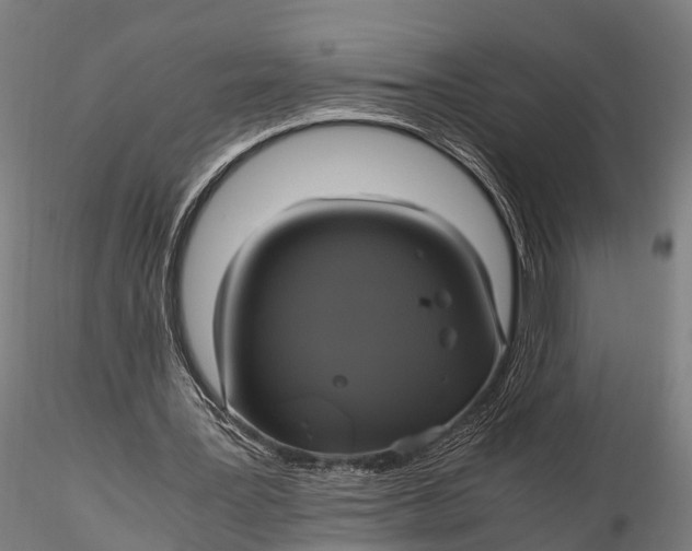 X0000115660387200912031337