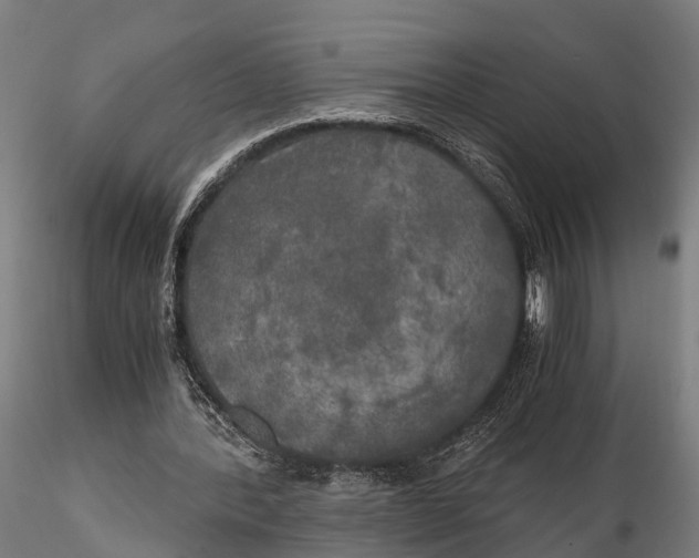 X0000115660388200912031337