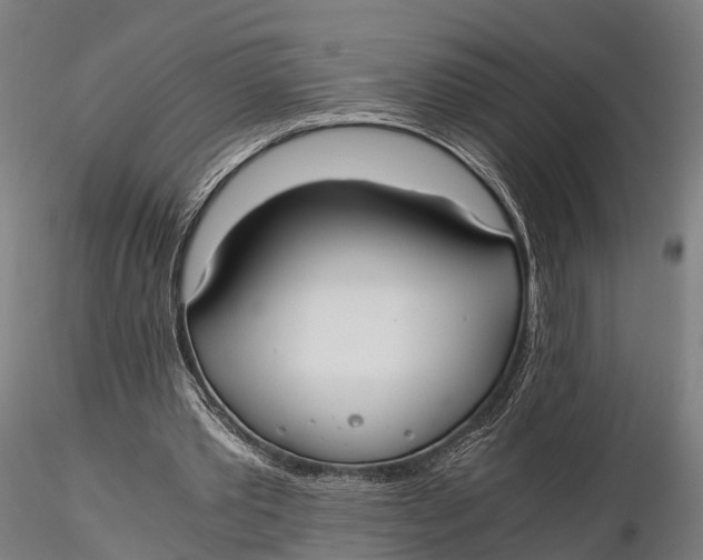 X0000115660389200912031337