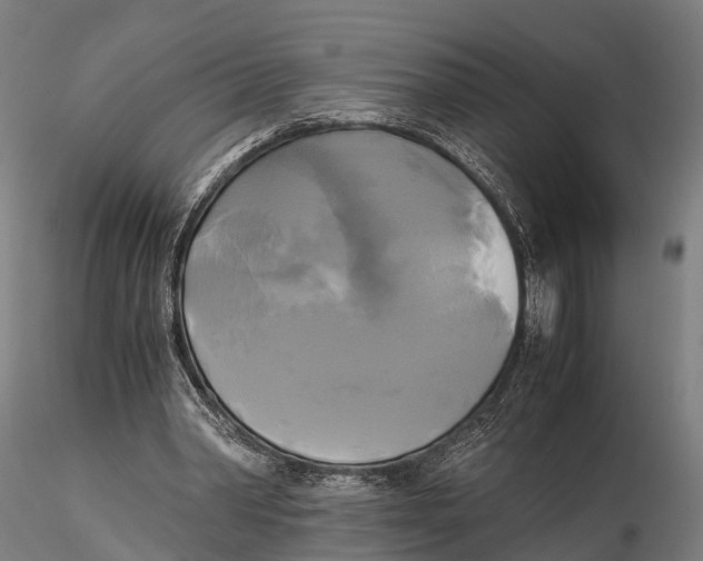 X0000115660390200912031337