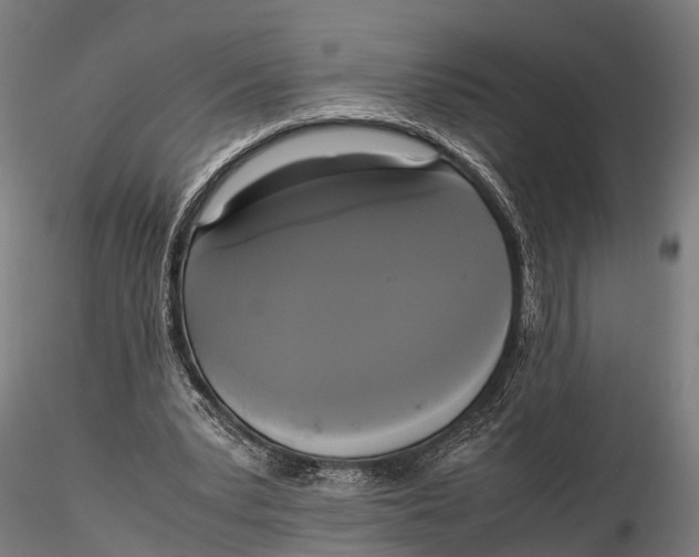 X0000115660391200912031337