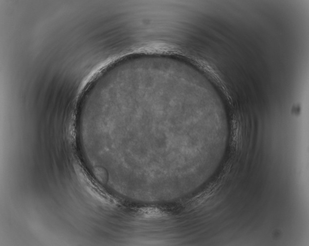 X0000115660392200912031337