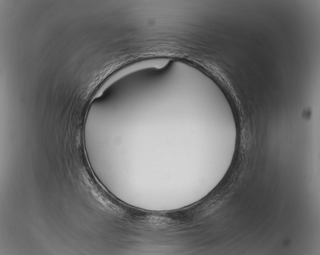 X0000115660393200912031337