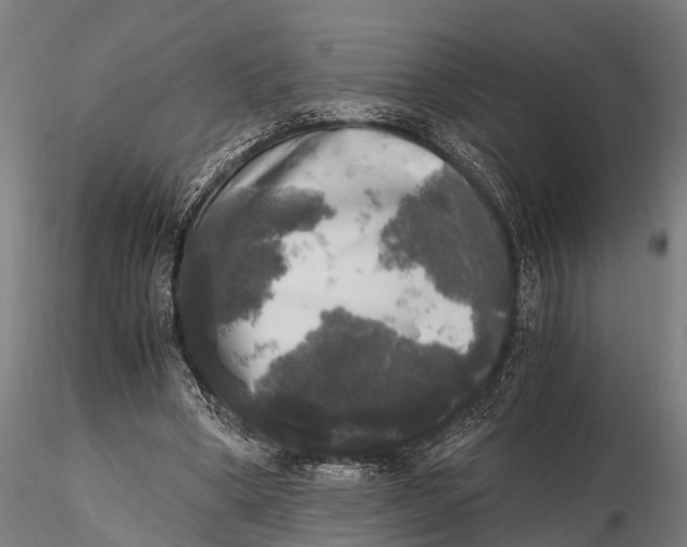 X0000115660394200912031337