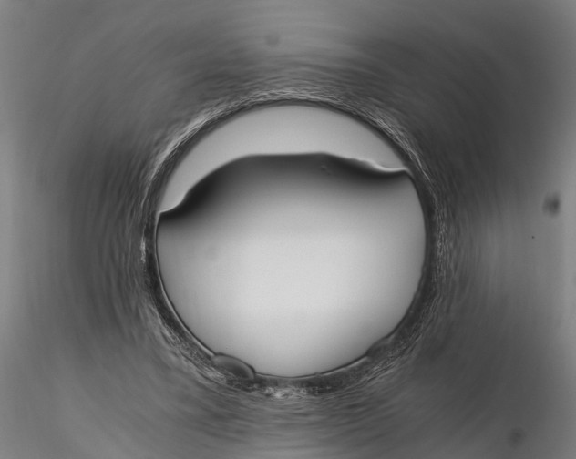 X0000115660395200912031337