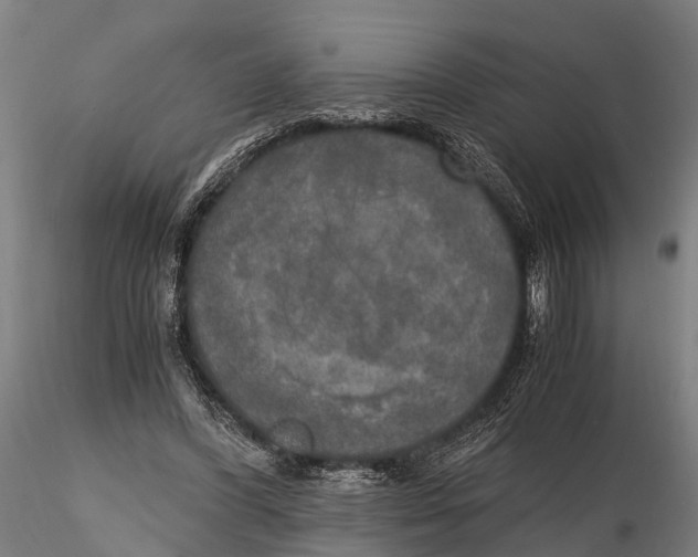 X0000115660396200912031337