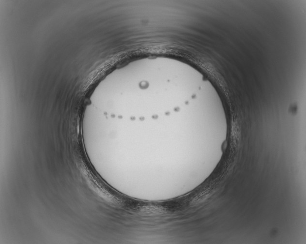 X0000115660397200912031337