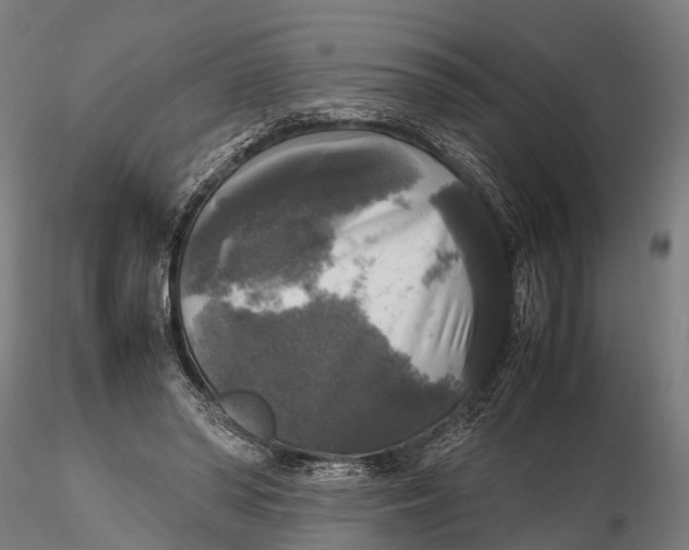 X0000115660398200912031337