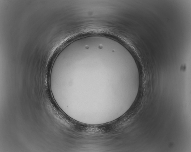 X0000115660399200912031337