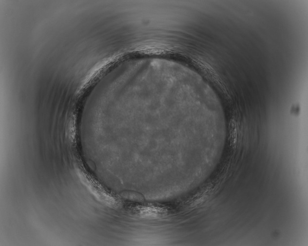 X0000115660400200912031337