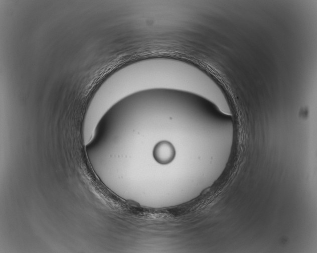 X0000115660401200912031337