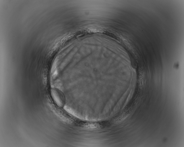 X0000115660402200912031337