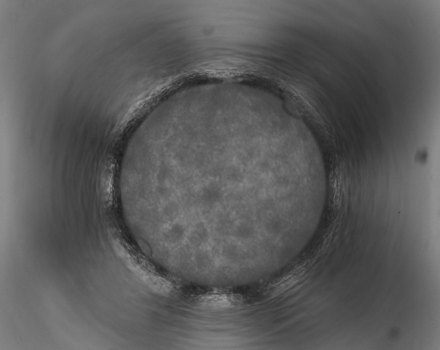 X0000115660404200912031337