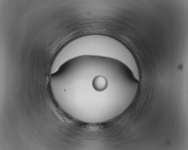 X0000115660405200912031337