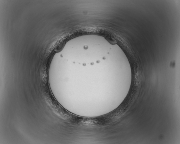 X0000115660407200912031337