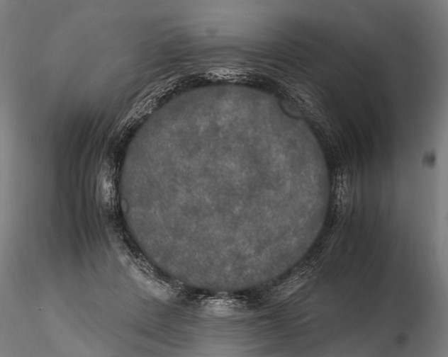 X0000115660408200912031337