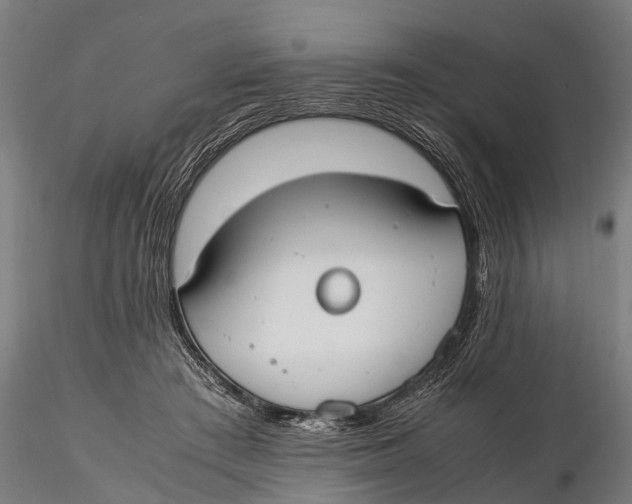 X0000115660409200912031337