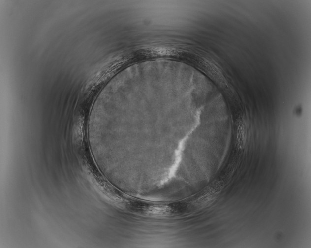 X0000115660410200912031337