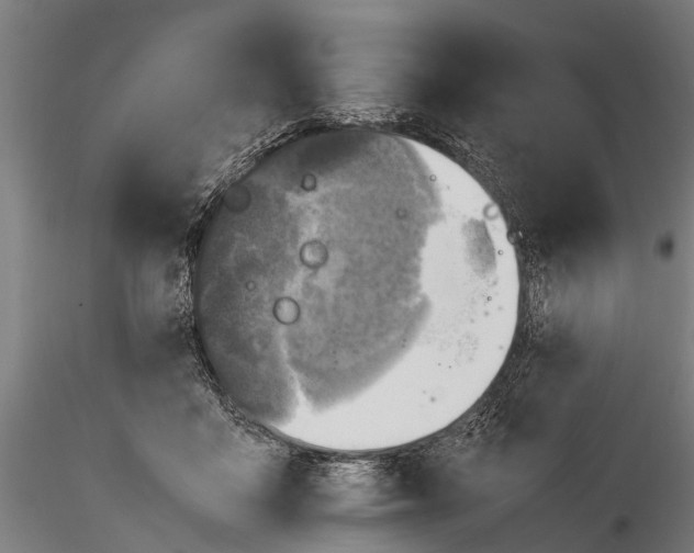 X0000115660411200912031337