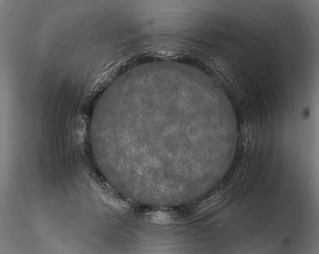 X0000115660412200912031337