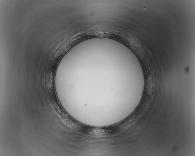 X0000115660413200912031337