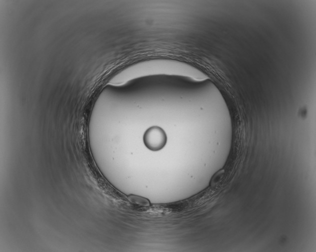 X0000115660415200912031337