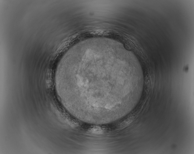 X0000115660416200912031337